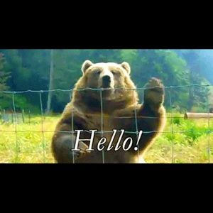 Meet your Posher, Andrew